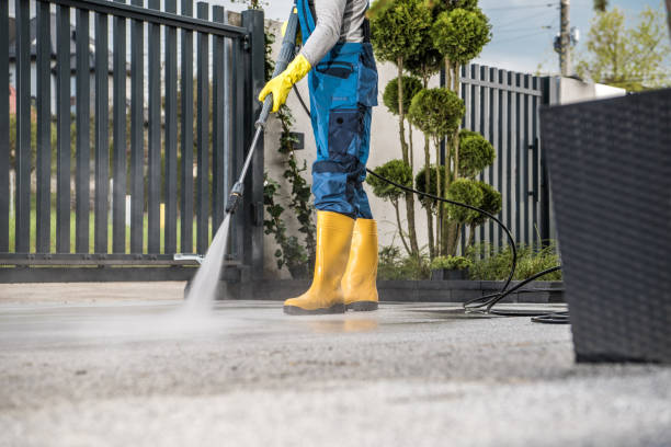 Best Gutter Cleaning  in Georgetown, KY